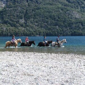Cabalgata Los Baqueanos Half Day