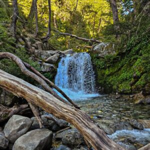 Trekking Cascada Inacayal