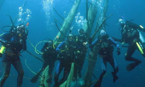 Buceo en Lago Moreno 3