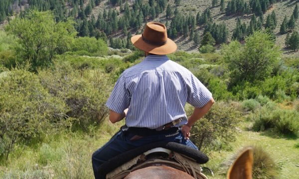 Cabalgatas en la Estepa Patagónica  | Jinete | Lauke tours