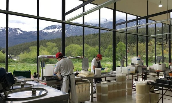 Degustación en Bodega Adamow y visita a fábrica de helados Jauja | Empleados|  Lauke Tours